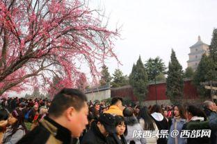西安大雁塔人潮最新爆料,最新现场爆料揭秘  第3张